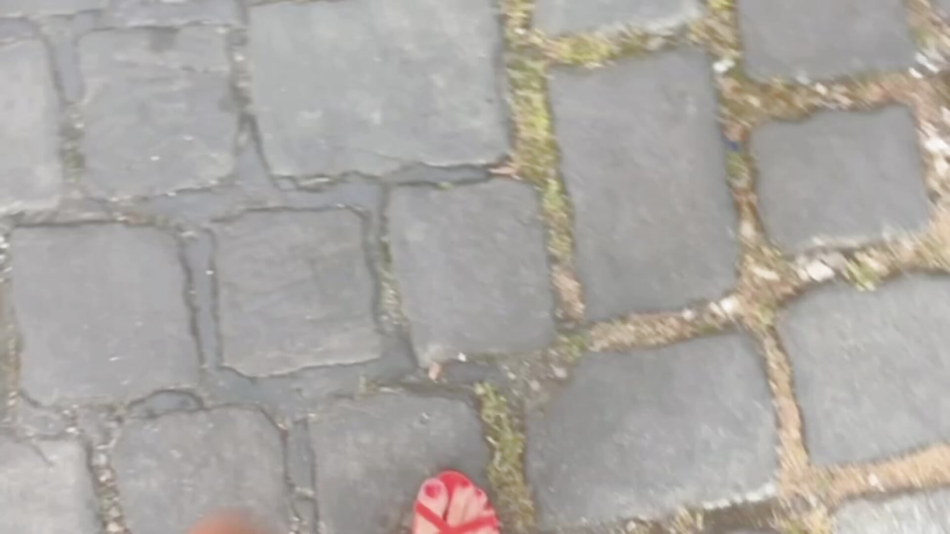 Walk - video oleh model kamera NellyExtraa