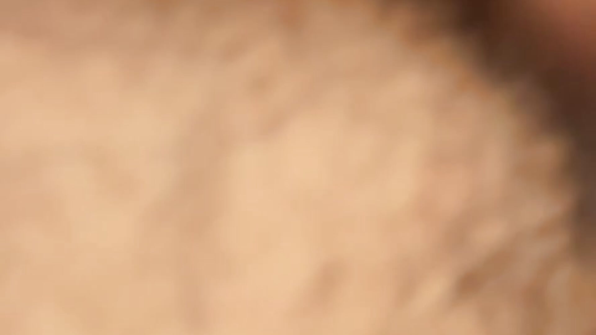 Early mornin wood - video by pnwzo cam model