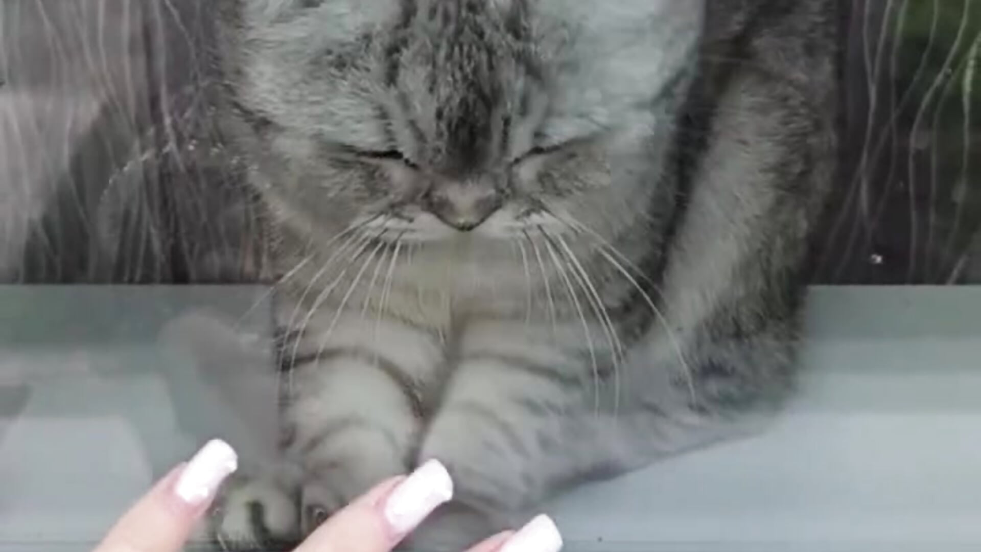🐈‍⬛🐈‍⬛ - video by MistyMarlo cam model