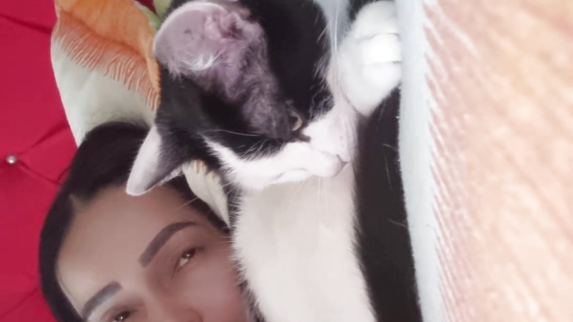 😻 - βίντεο μοντέλου istthalexa