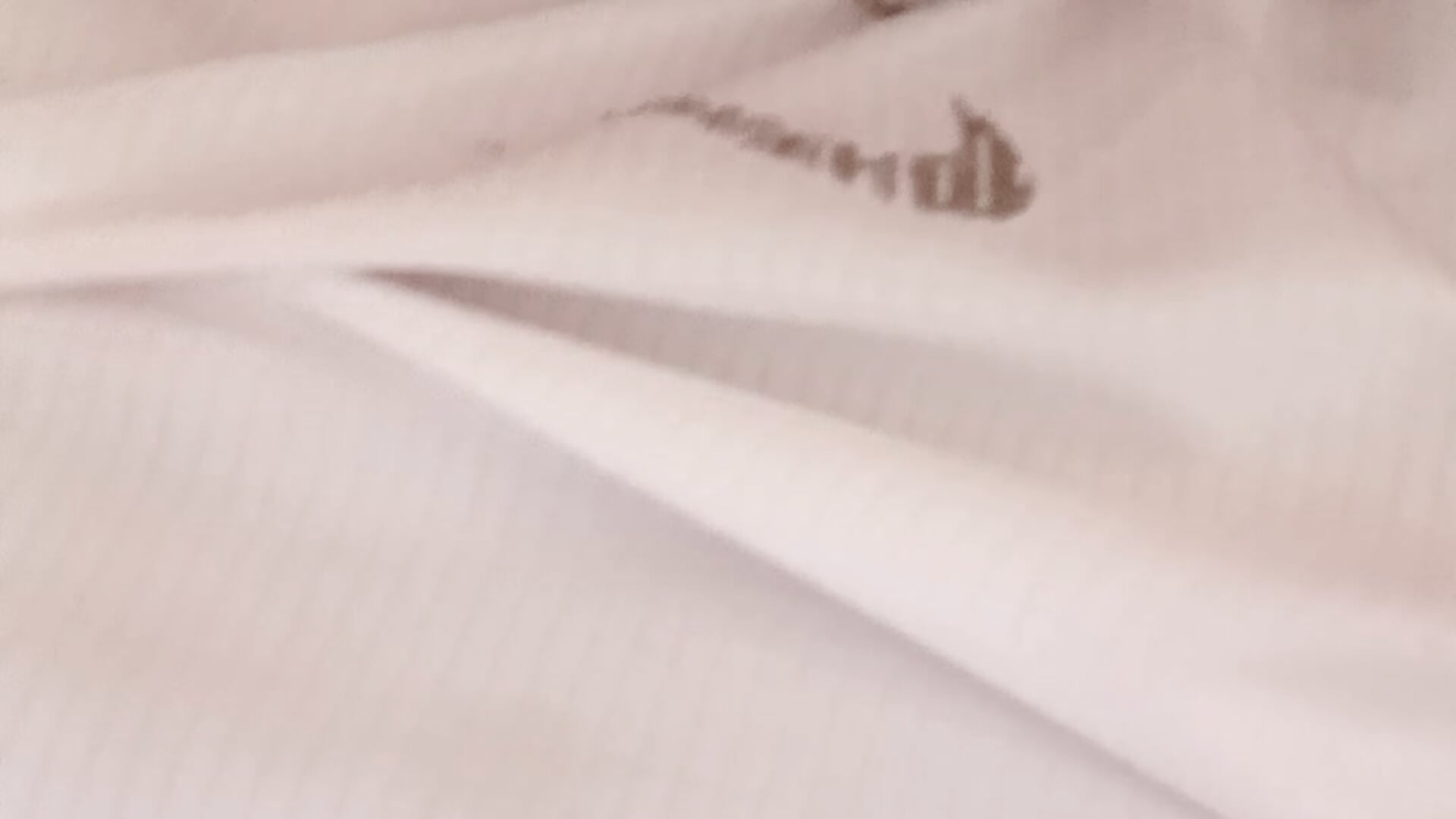 Kiss for you - video by zebmghribi cam model