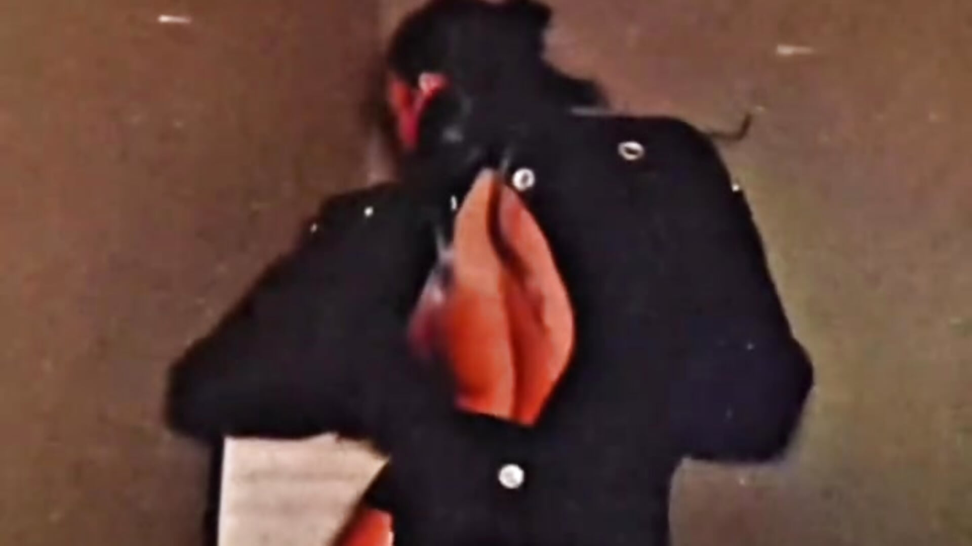 Freedom - video by Stevey5894