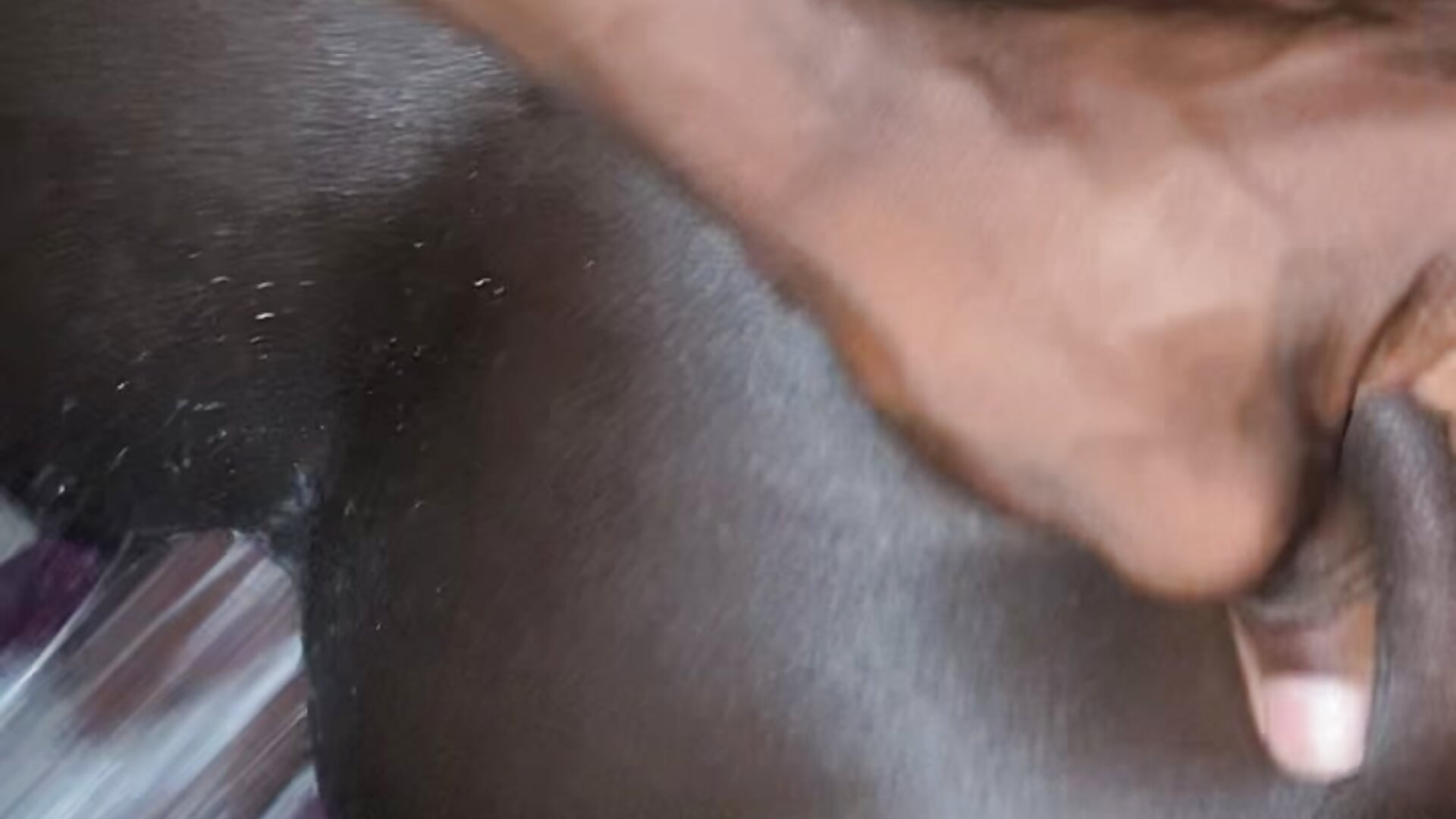 Do u wanna cum fast, just buy this video of me fucking my homie 😋 - clip cu Jaydemasked model videochat