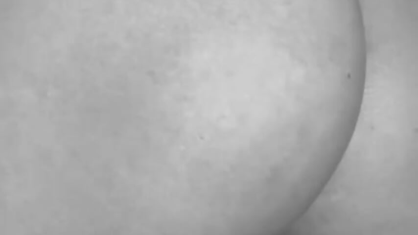 VIDEO-2025-06-28-19-06-57