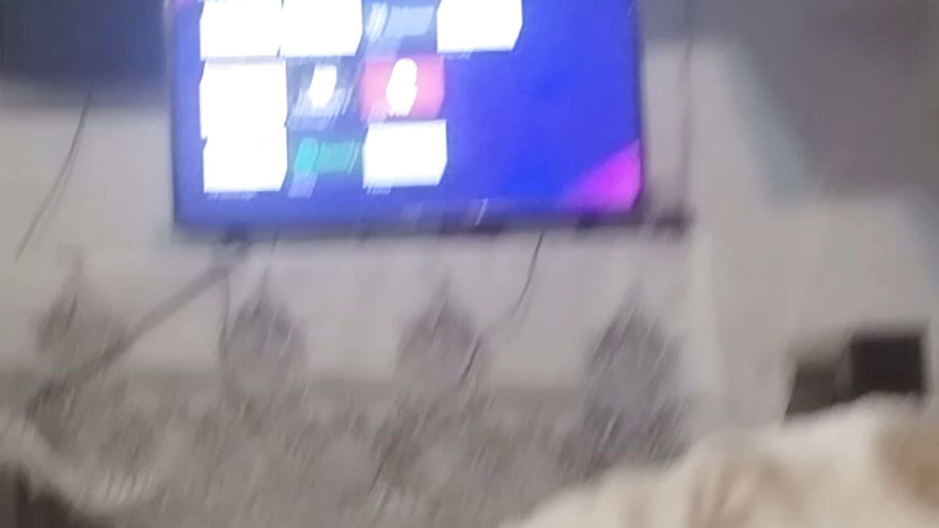 Sneak peak 🔥😈 - ক্যাম মডেল ColouredPapi-এর ভিডিও