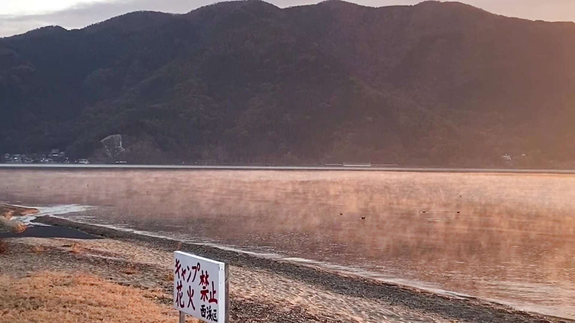 IMG_3663 - Vídeo de iiiviviii, modelo de vídeos