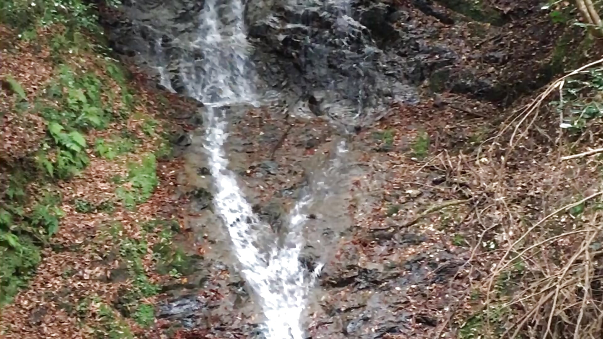 IMG_3226 - video by iiiviviii cam model