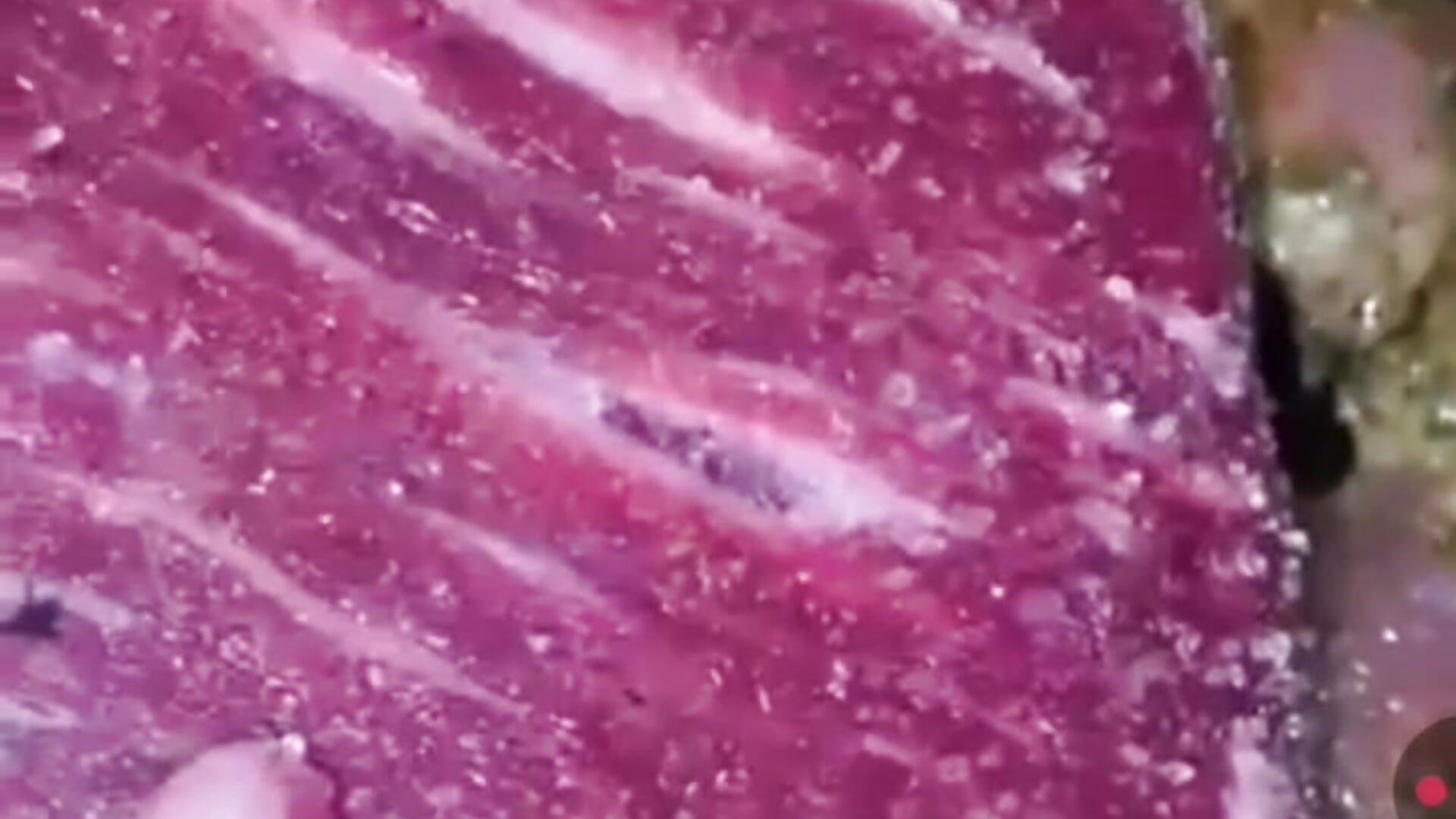 Su asao piolaa - 視頻由 juanfritaa21 主播提供