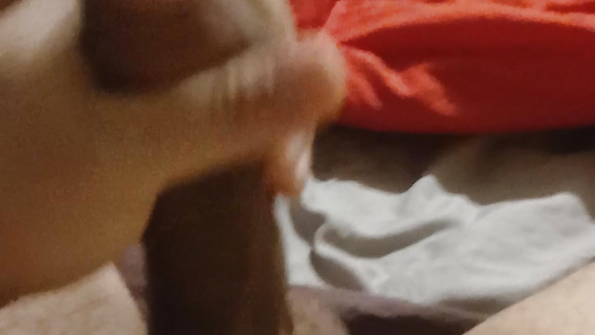 Deslecha - video van juanfritaa21 cam-model