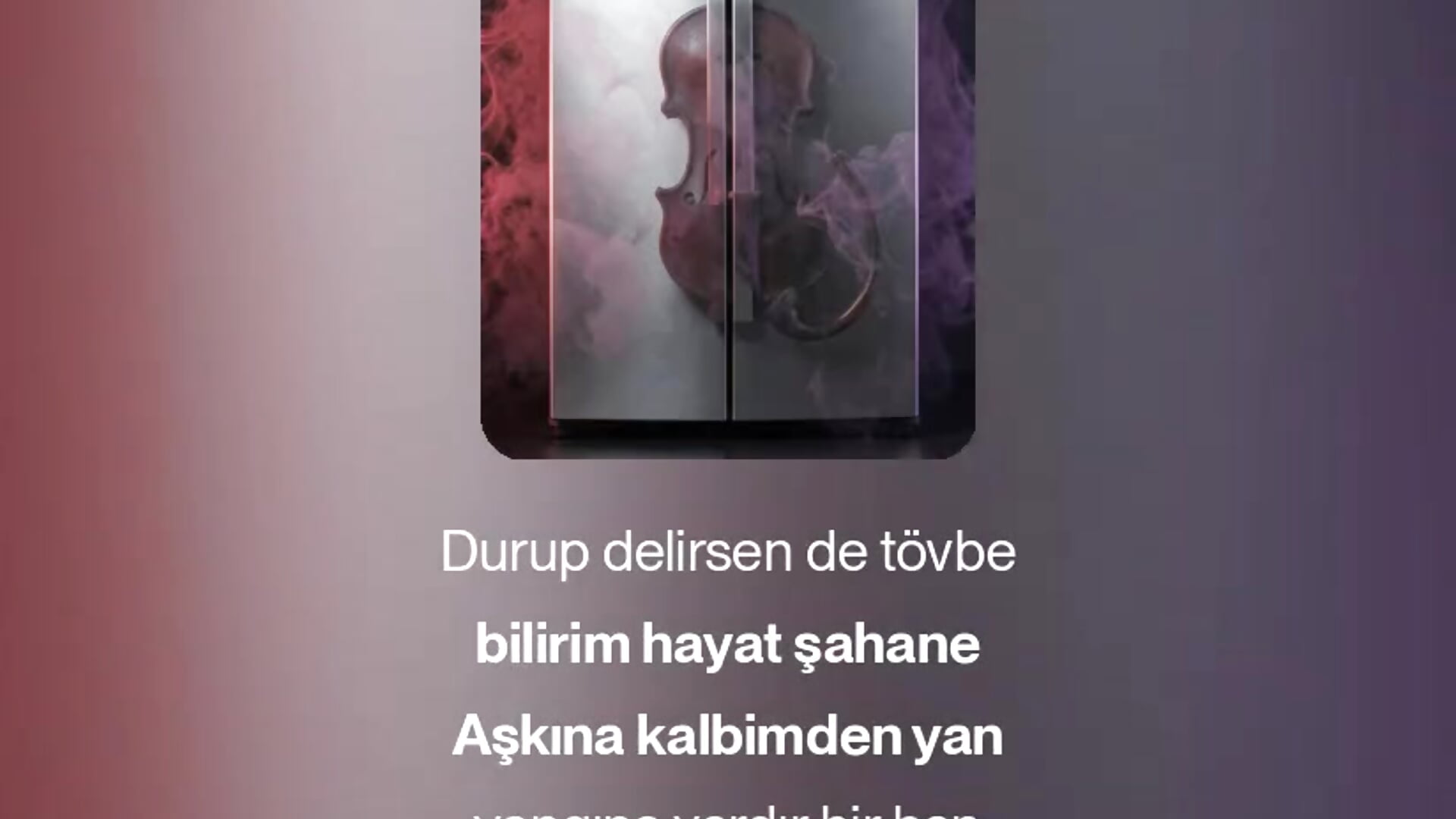 Buzdolabı Kokuyorsun the song i have made on suno with my own lyrics - video by turkishTransEfsun cam model