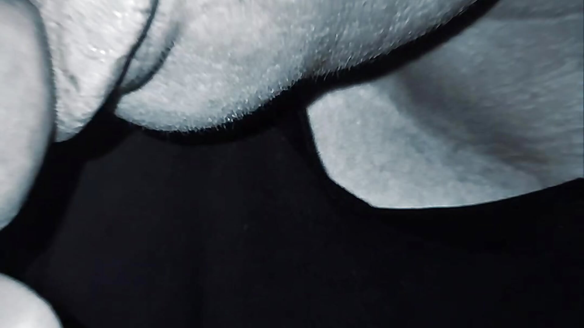 Blowjob foto video - video di BlacReign modella di cam