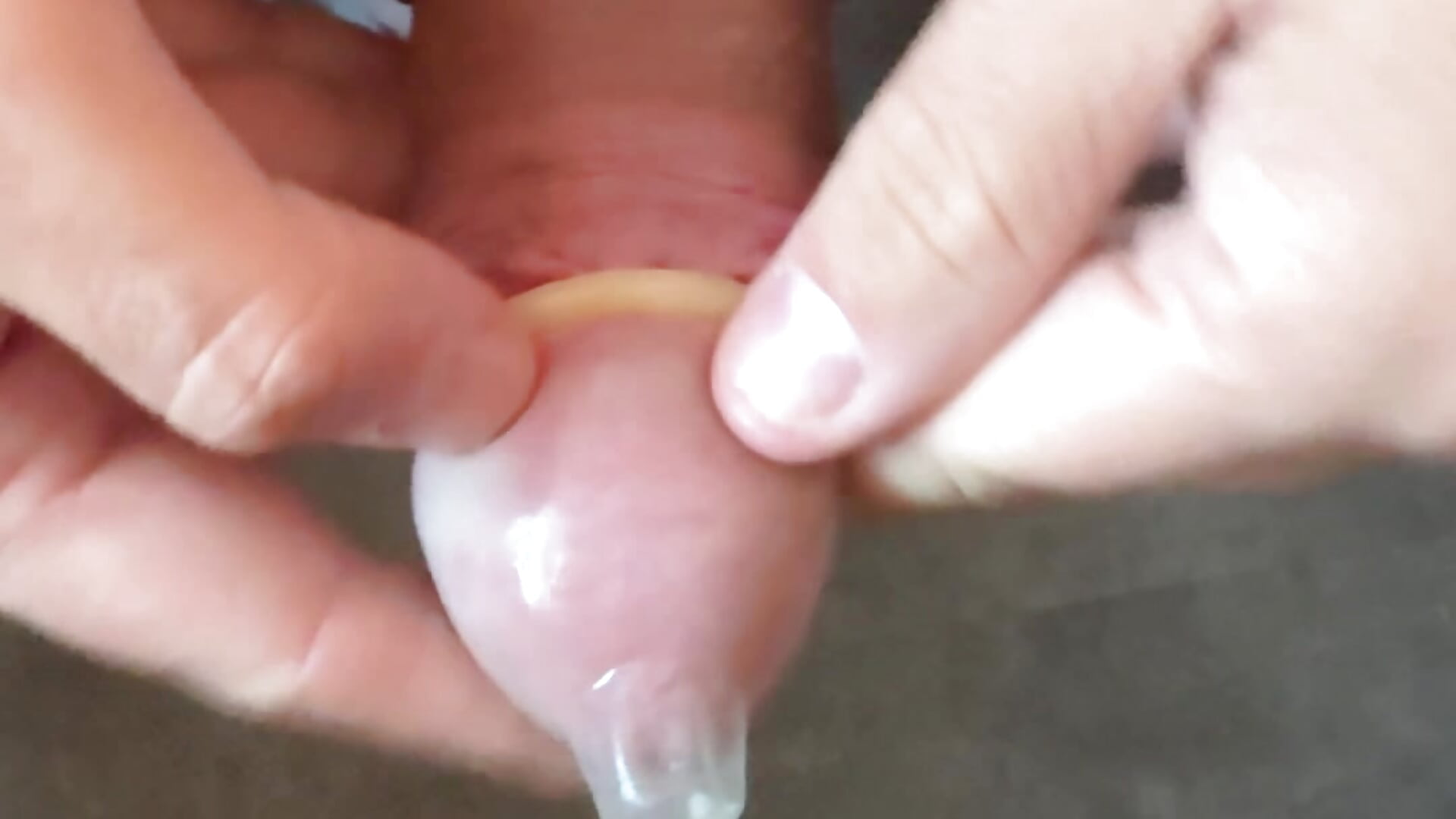 cumtributfan2025