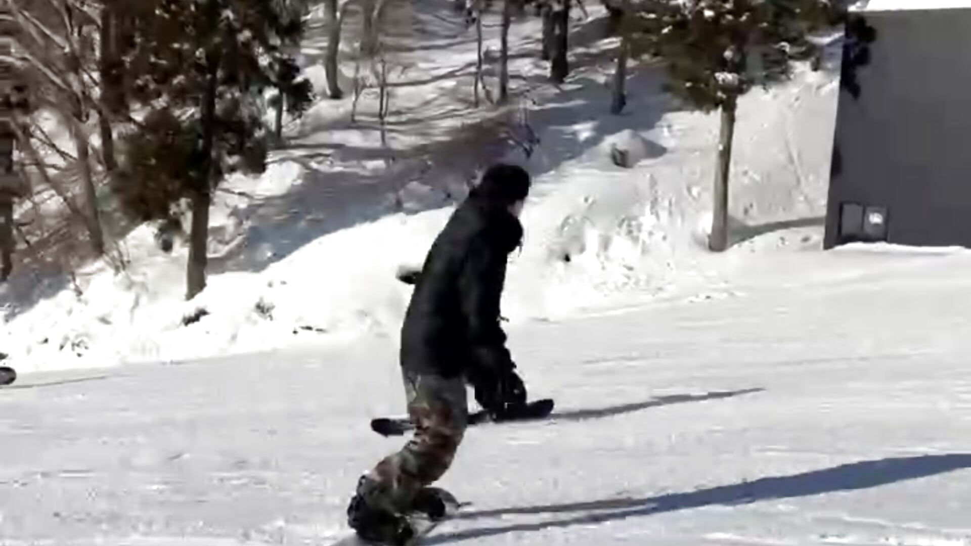 video_599399627556651456-iolNn0sS