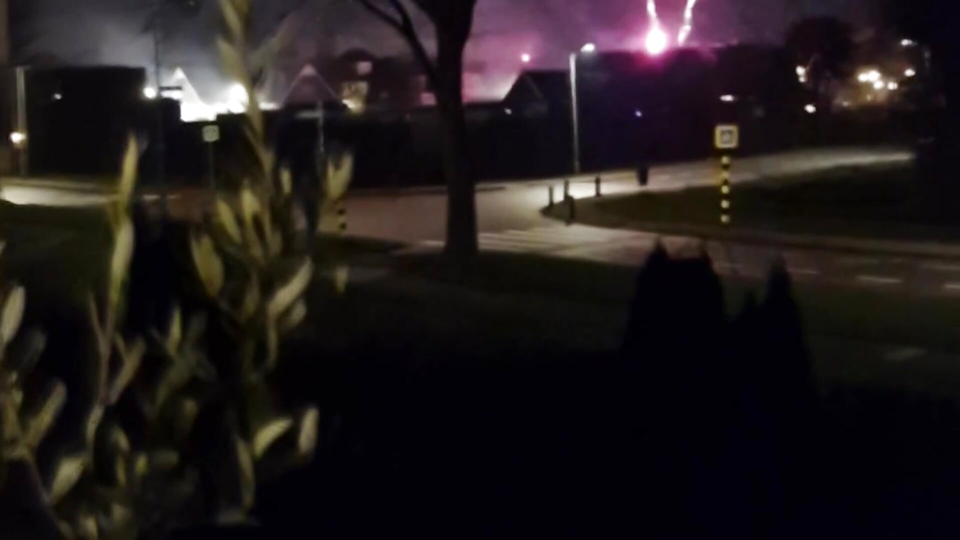 Happy new year! - video by DutchButterfly cam model