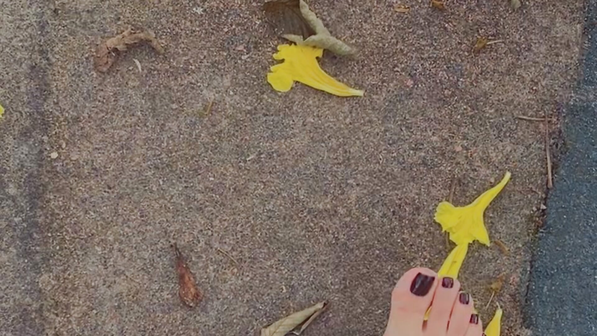 Ana it’s here - video by fetish_foot_ cam model