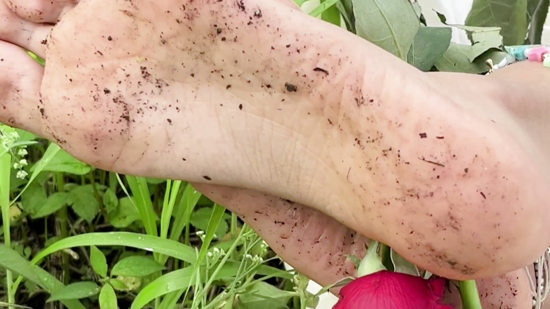 take a rose 👅🌹🩷 - video by fetish_foot_ cam model