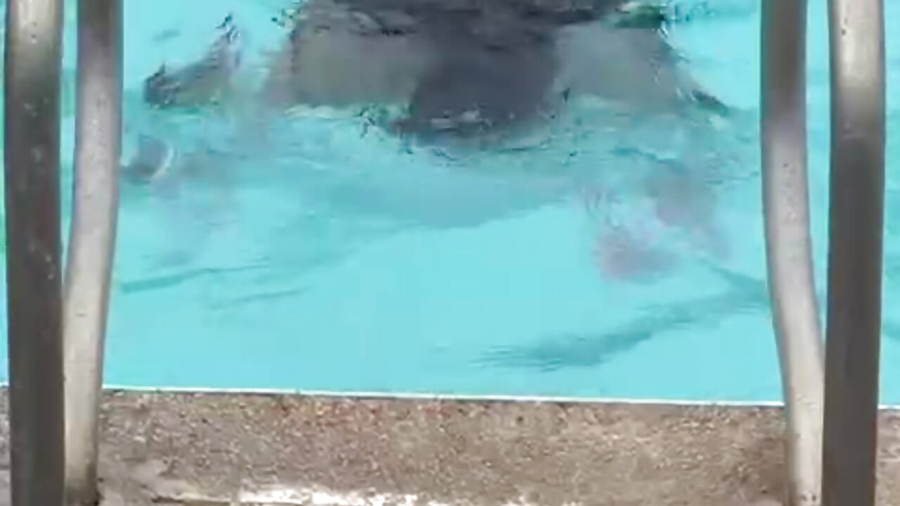 Endless Summer vid verification - video by SamaraBlessed cam model