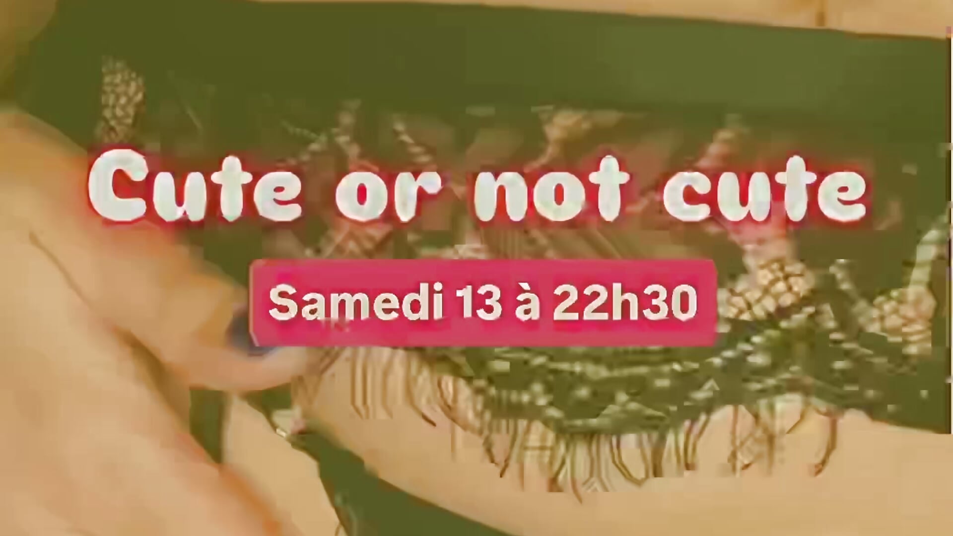 Teasing des show prévus en décembre – video od webkamerové modelky MarahWdsn