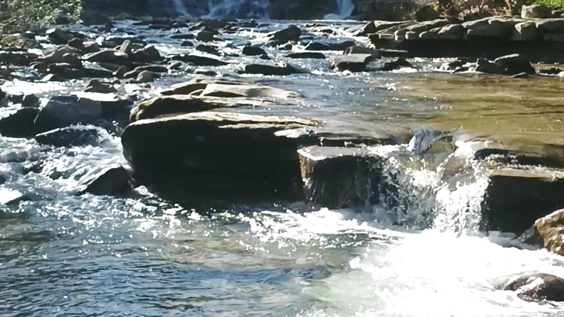 VID_20251112_131535 - video by pegaso369 cam model