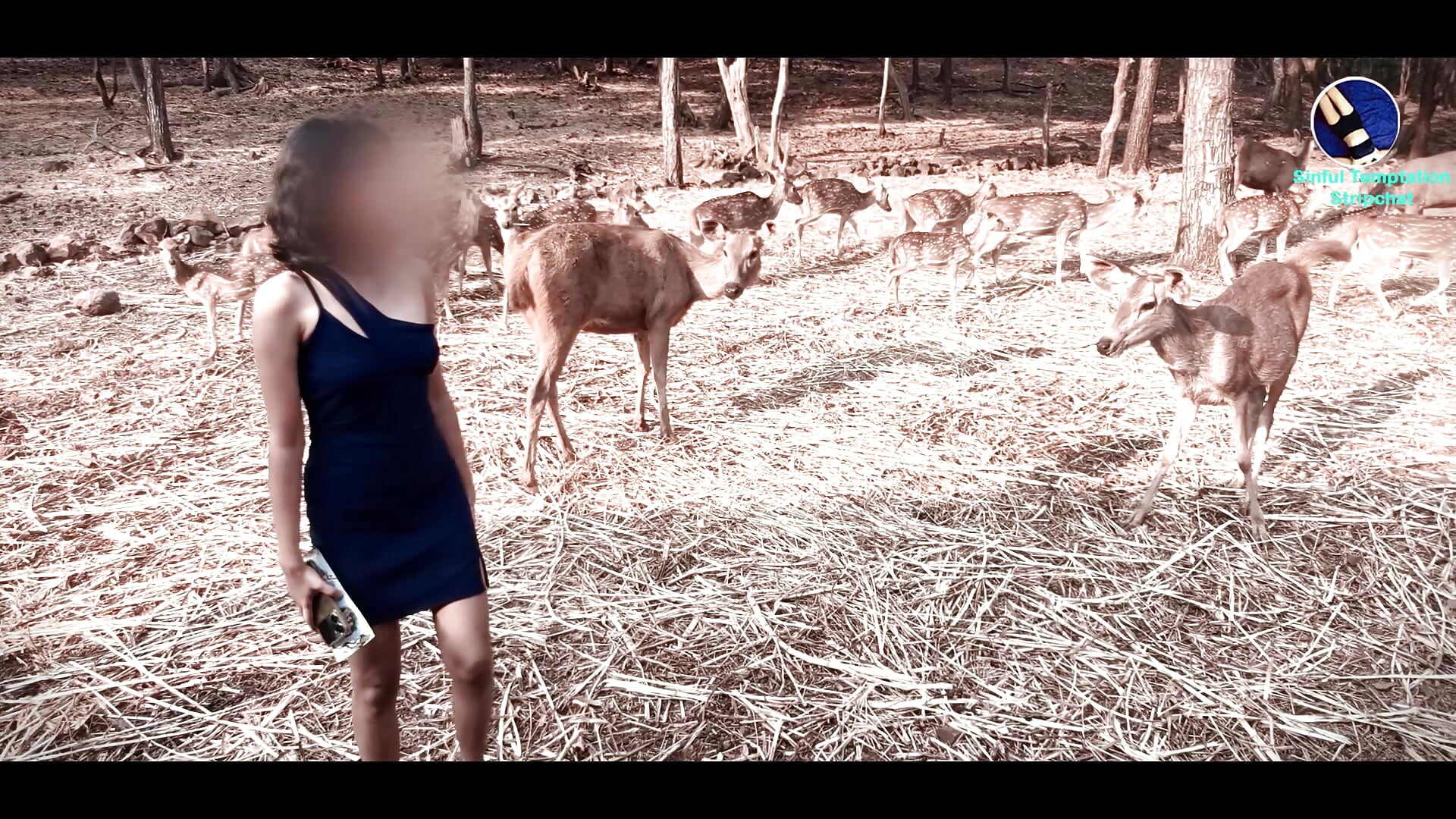 Wild Deer Moments - video by SinfulTemptation cam model