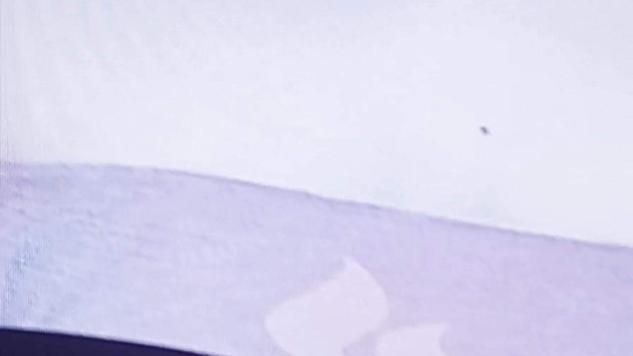 profile-intro-video-1760991471 - video by YourNikkieXxx cam model