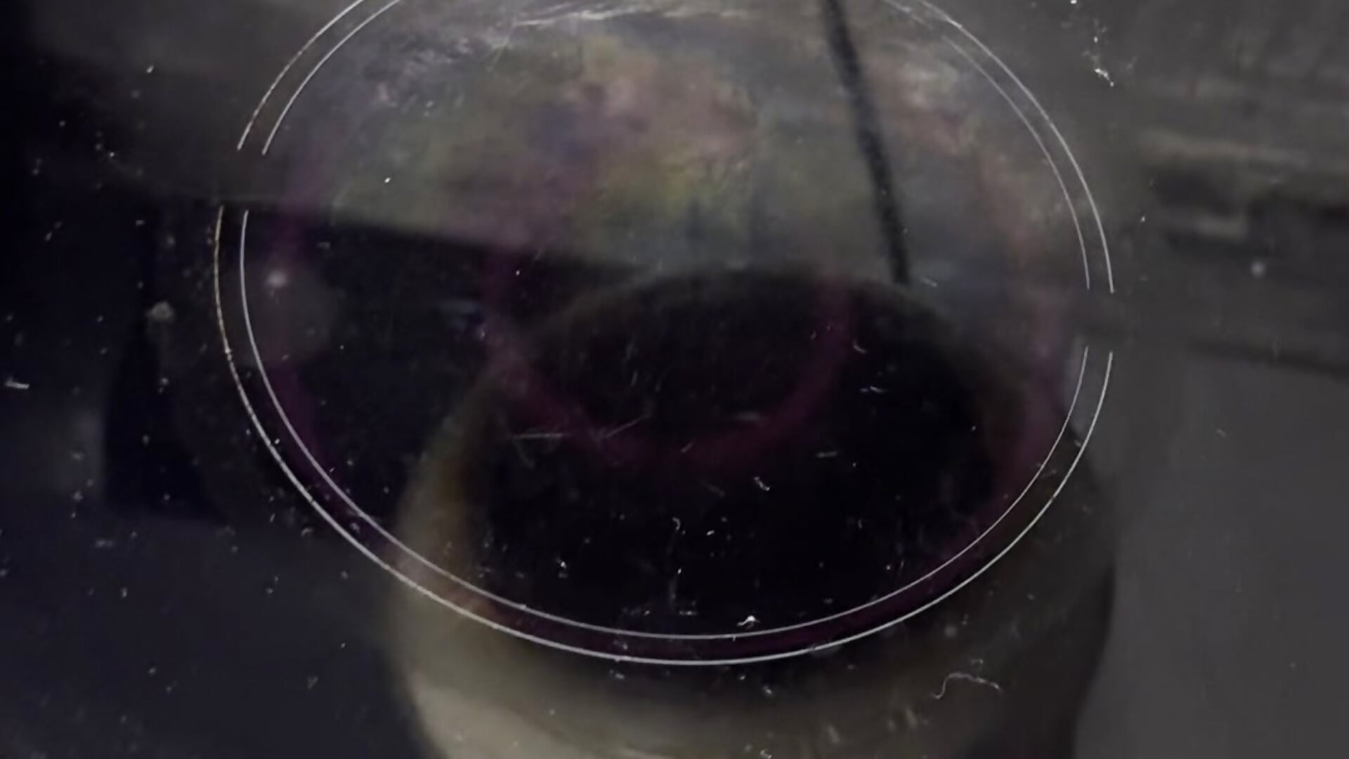 Cooking - video di IsobelCashin modella di cam