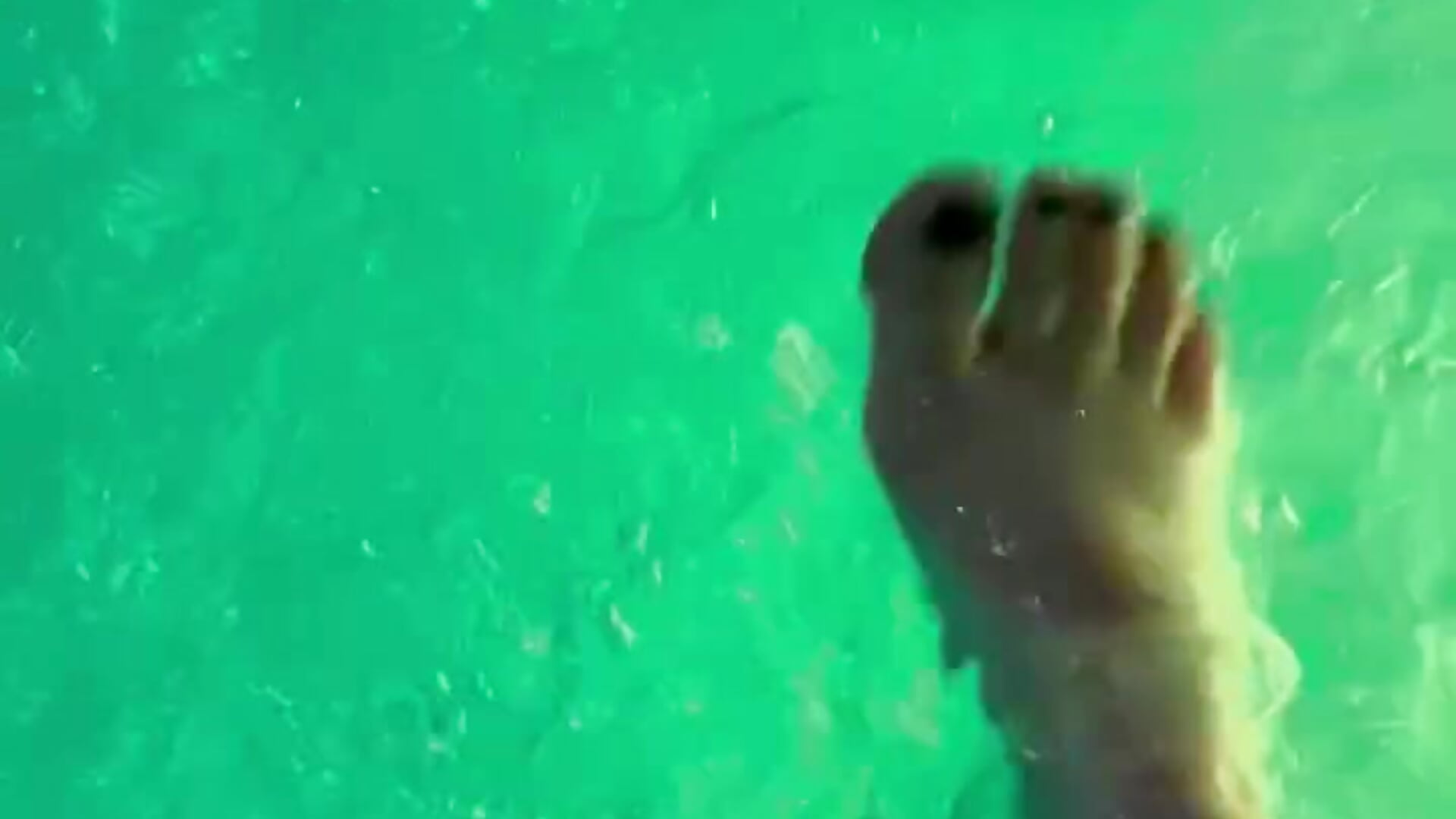 legs in water