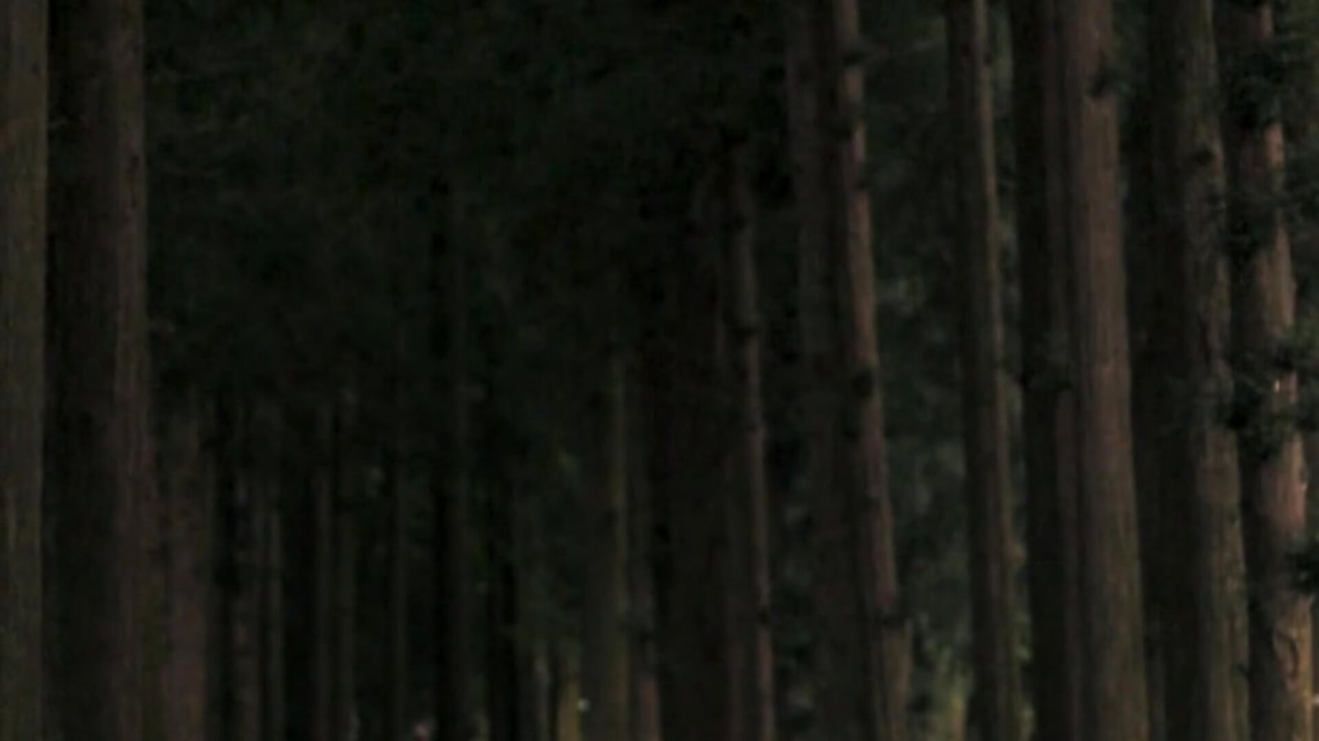 To Good - video by EchoicUlama cam model