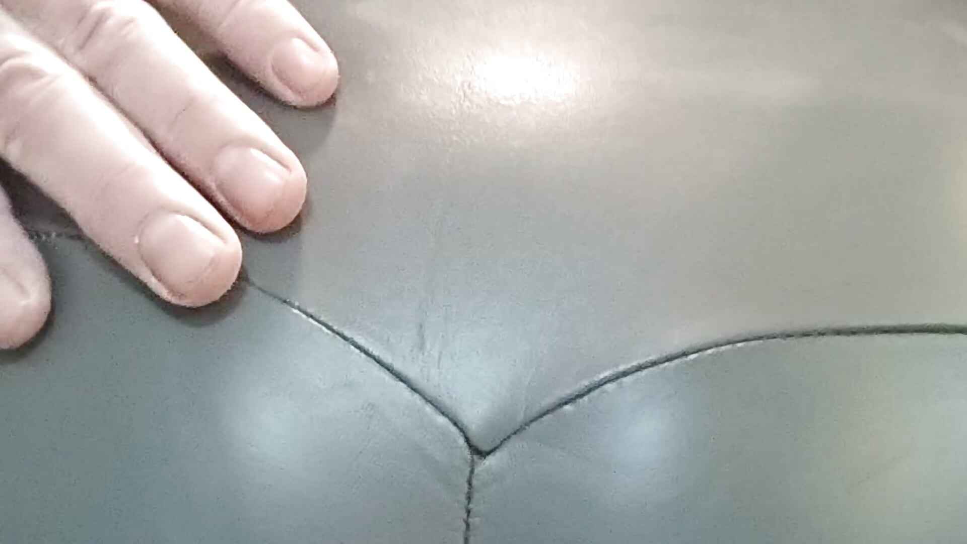 Task - video by toywood cam model