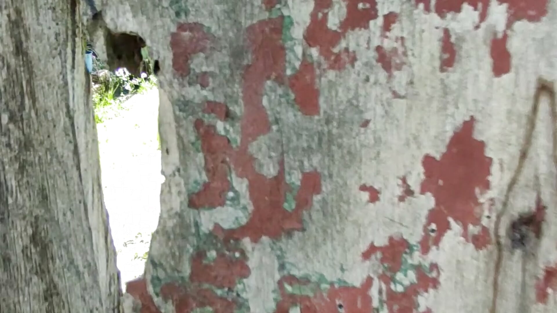 Amo viajar y explorar – video od webkamerové modelky AnnaMarss