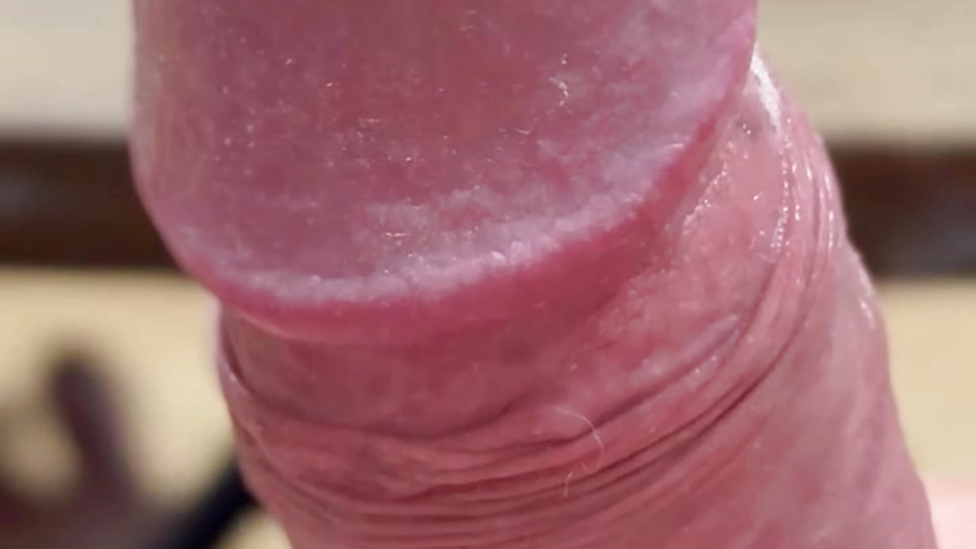 Single - vídeo de la modelo de cam felipe_caicedohub