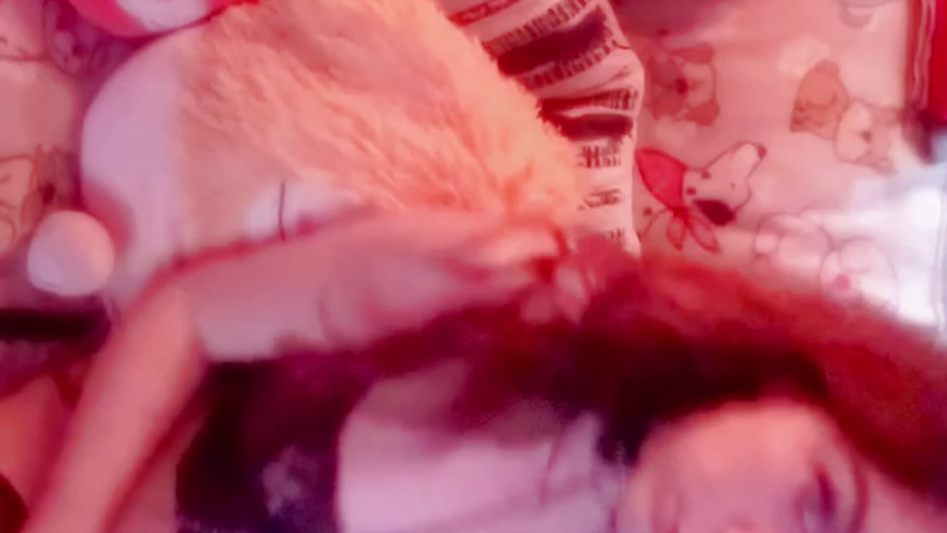 🖤 petite princess 🖤 - vídeo de la modelo de cam goddessmissmia