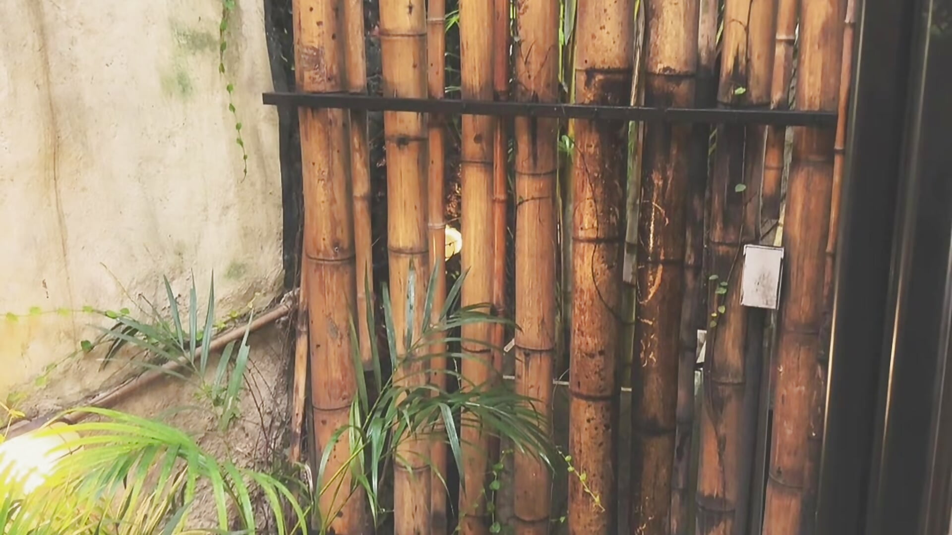 Look how beautiful my room is, guys – video modela na kameri AlanCutee