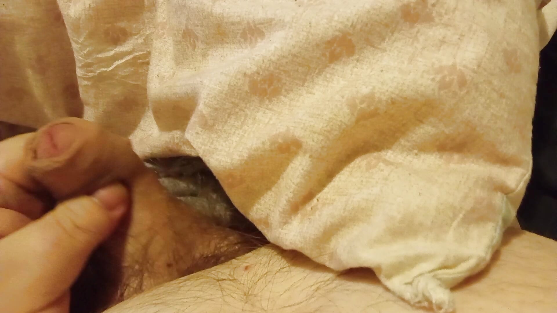 1000001167 - video by Nigel1121 cam model