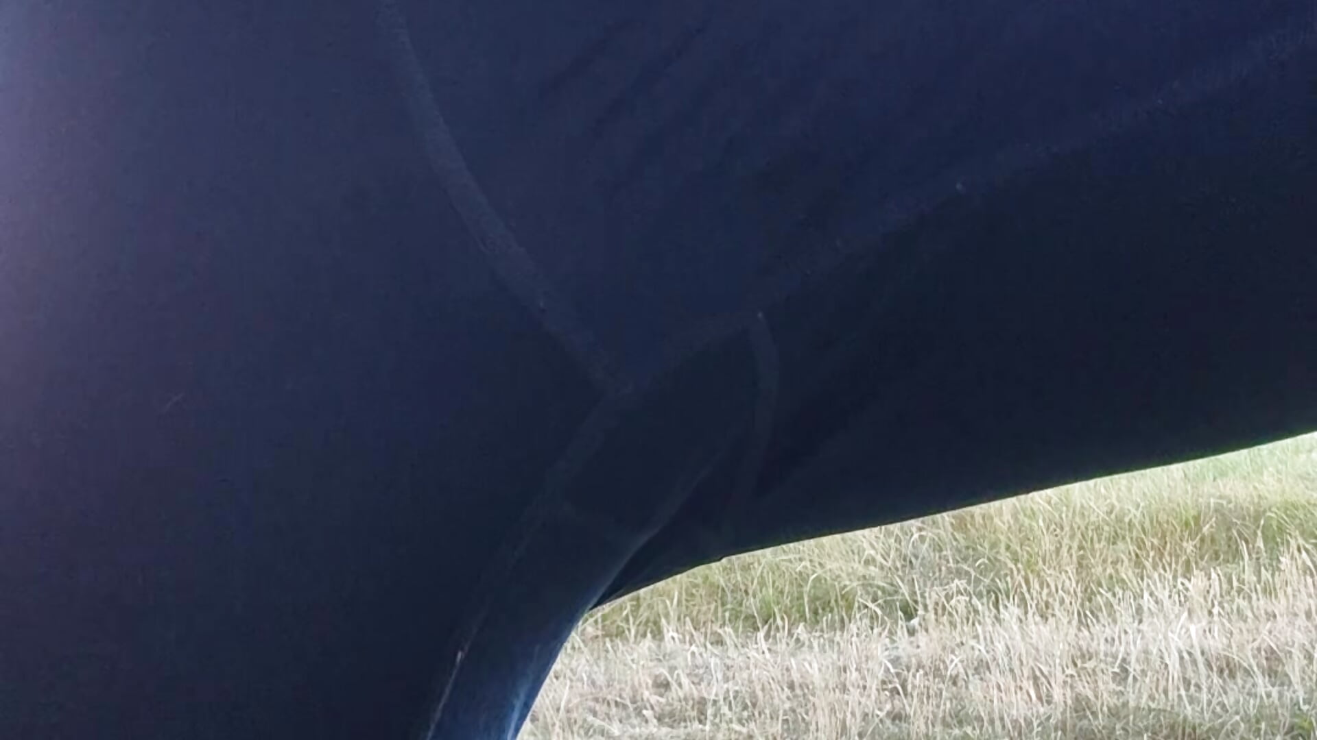 Natursekt in leggings - video by natursektlover212@xh cam model