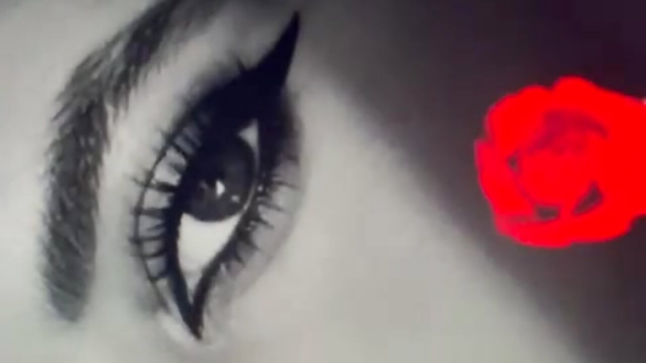 WhatsApp Video 2026-02-10 at 11.27.18 PM.mp4 - video di Ary_Salome1 modella di cam