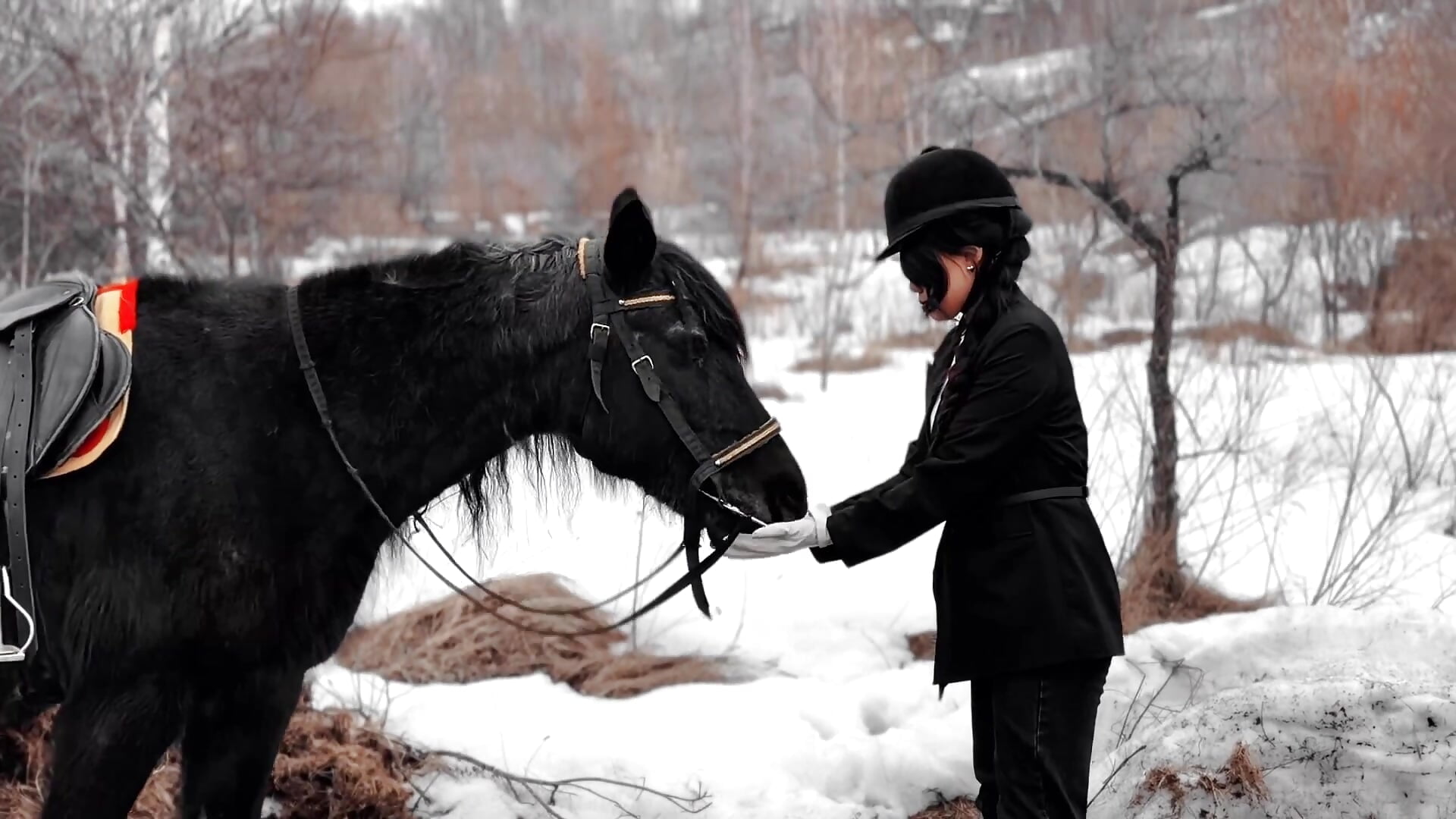 dark horse 🐎❤️ – video od webkamerové modelky LunaPurrr