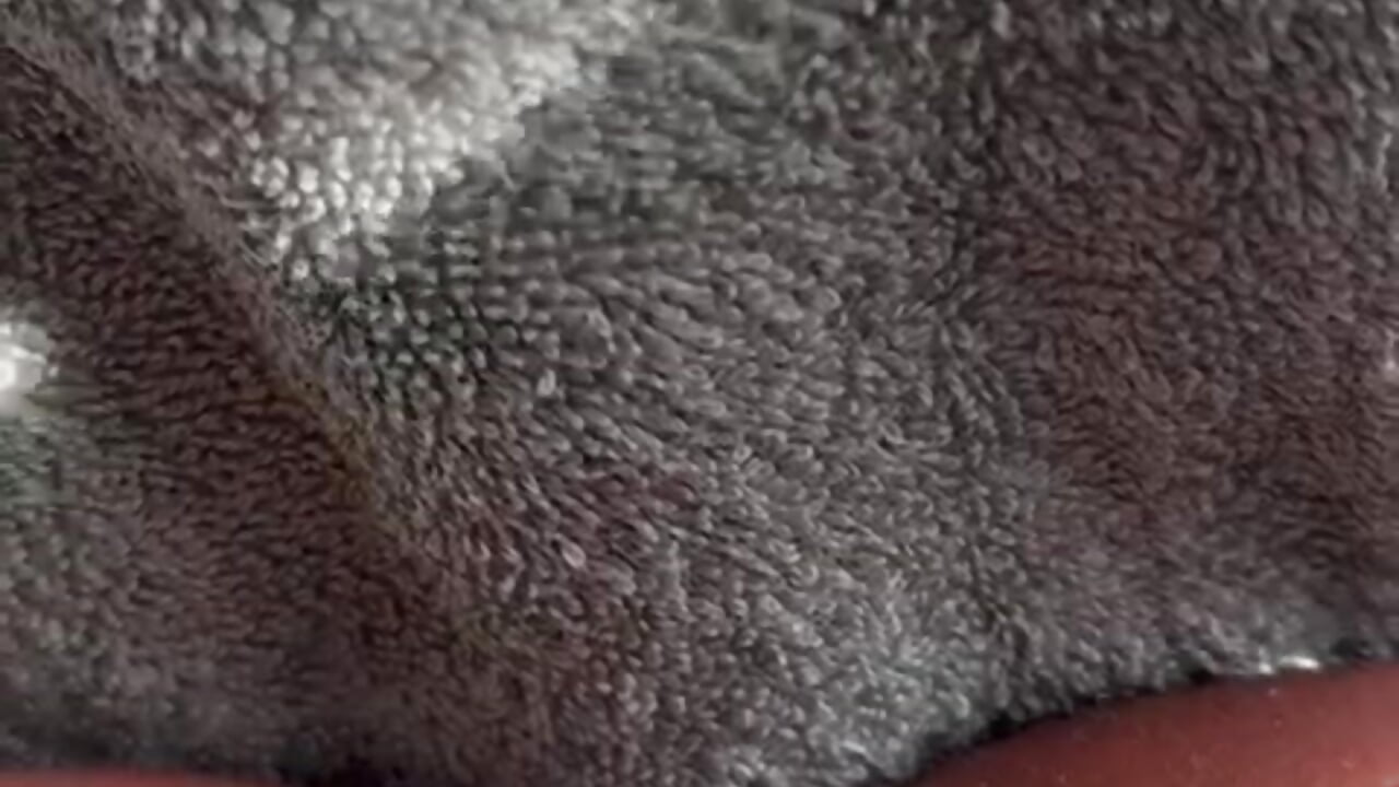 WhatsApp Video 2025-11-03 at 21,11,27_ad260023 - video by PHOENIXINTHEMIDDLE cam model