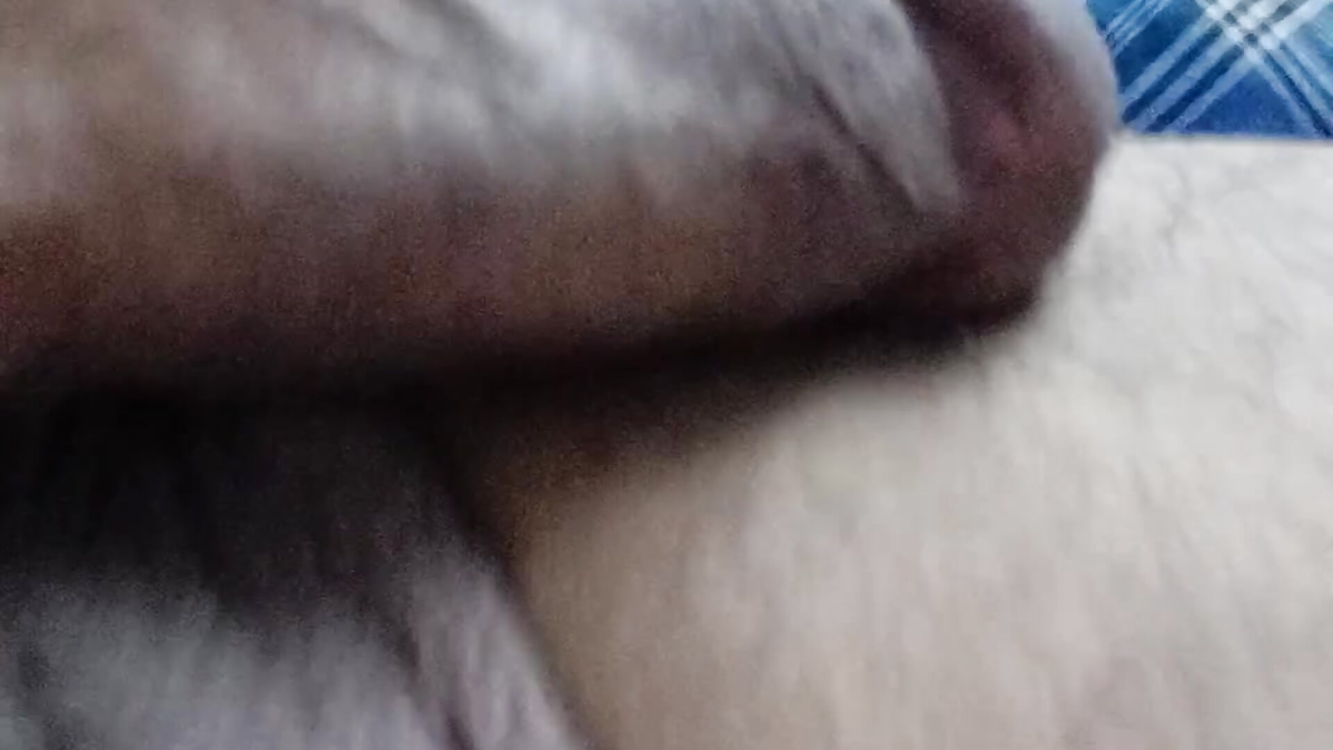 Hot fat cock - video by sarif-2 cam model