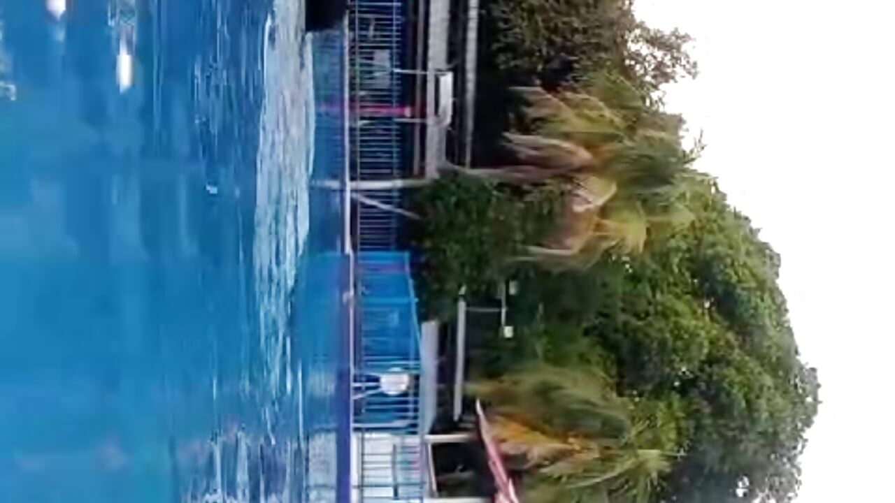 Naughty I couldn't behave in the pool… do you dare to see more?💦 – video od webkamerové modelky EvaHarryy