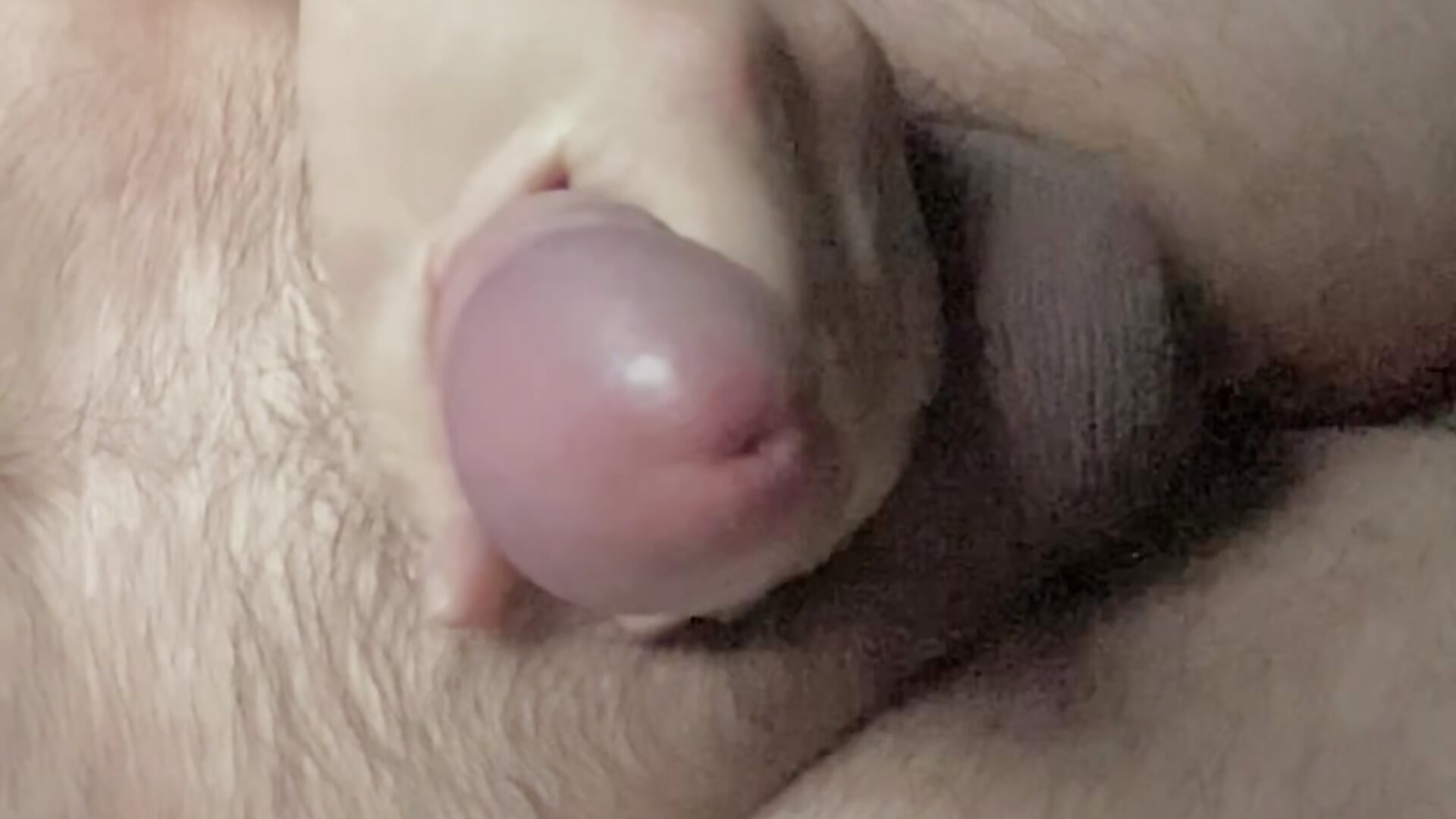 Easy Tempo, Hard Attention😈 – video af kennyCumz cam-model