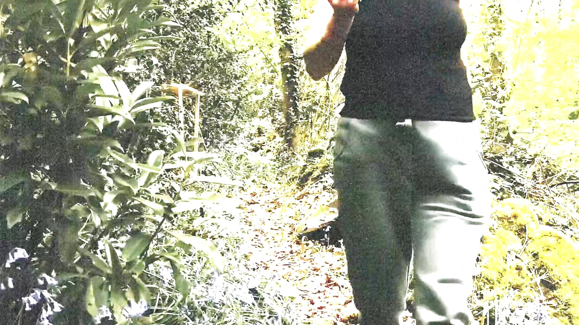 Ballade en foret - video van Sophierob1 cam-model