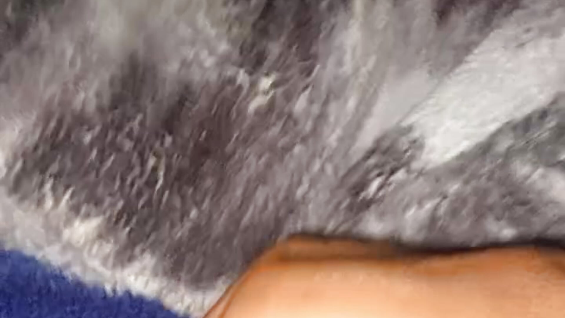 VID-20250608-WA0000 - video by Franklin111230 cam model