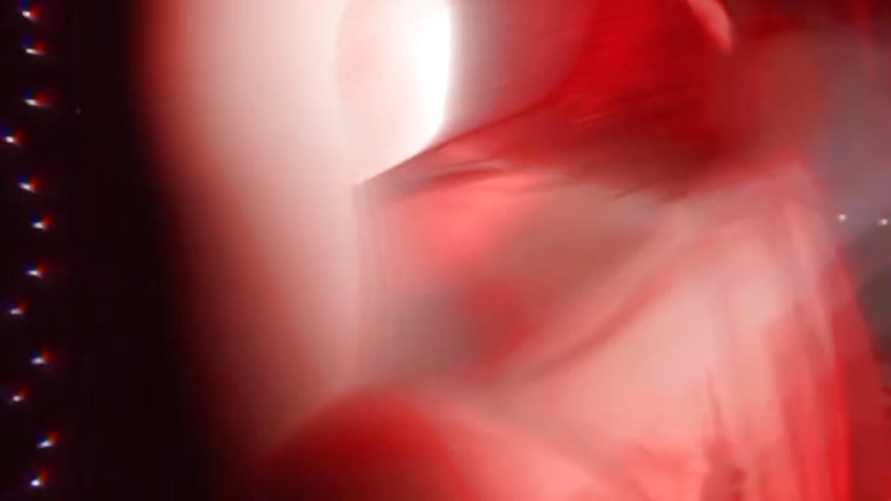 32e7da38-5278-4242-8051-a4bed557ea53 - video di seleneangels modella di cam