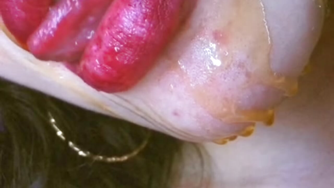 HONEY - video by Kyes_Dreams3 cam model