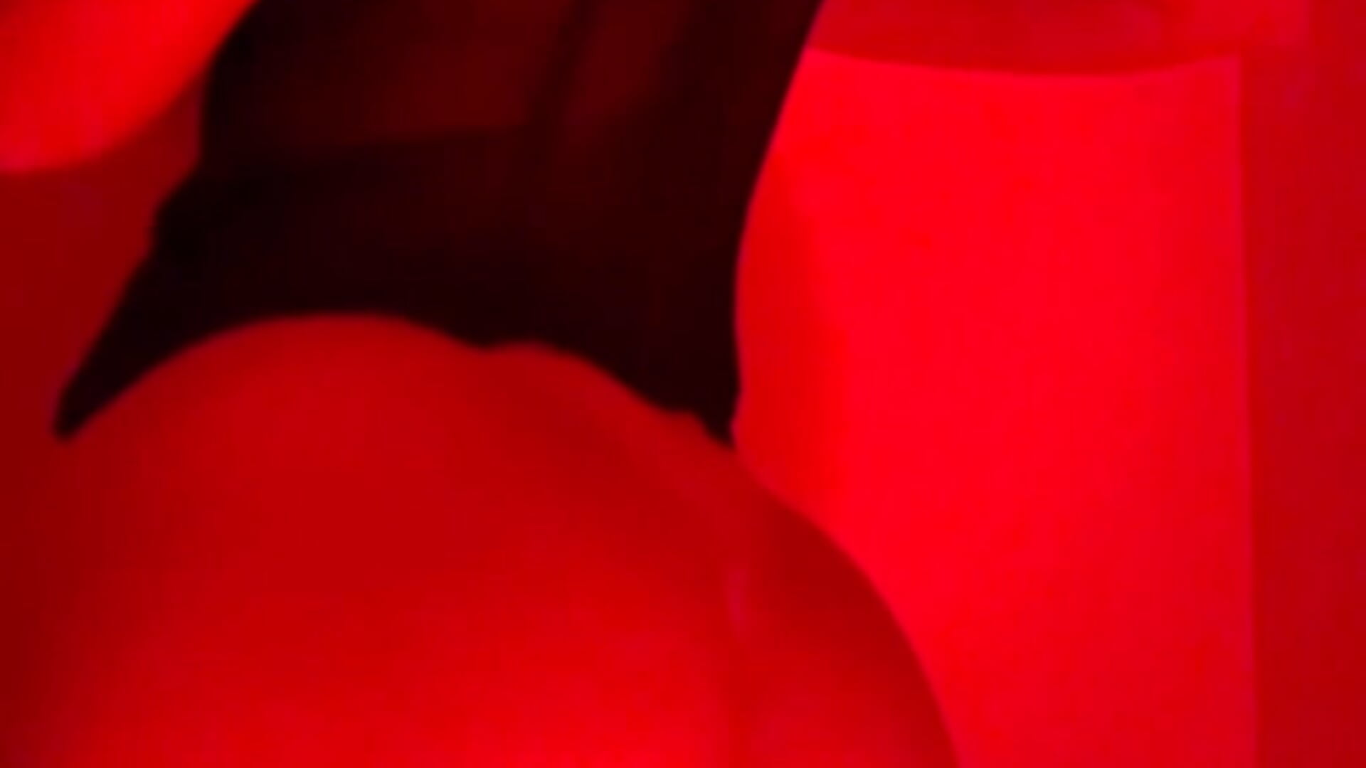 Flash boobs and ass 🥵🔞🔞 - video di ElenaRossy modella di cam