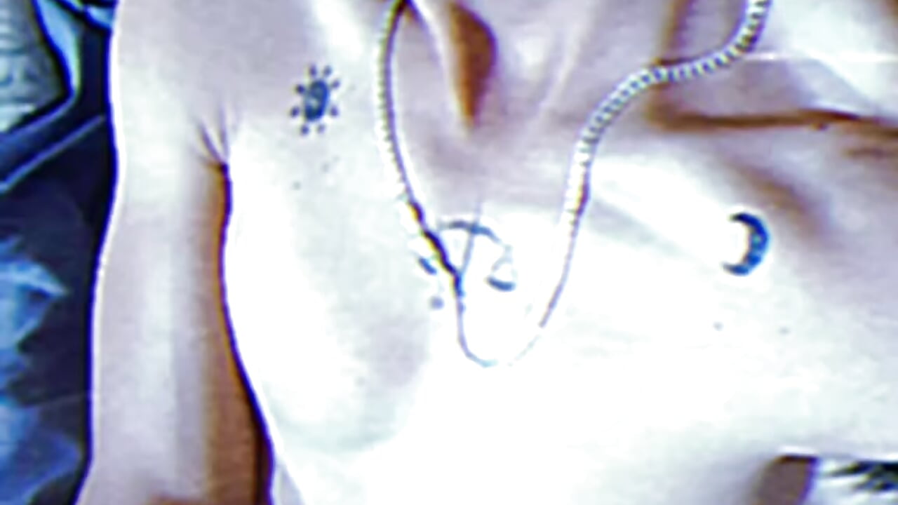 1000172275– lakiste69-35 kameramodell videója