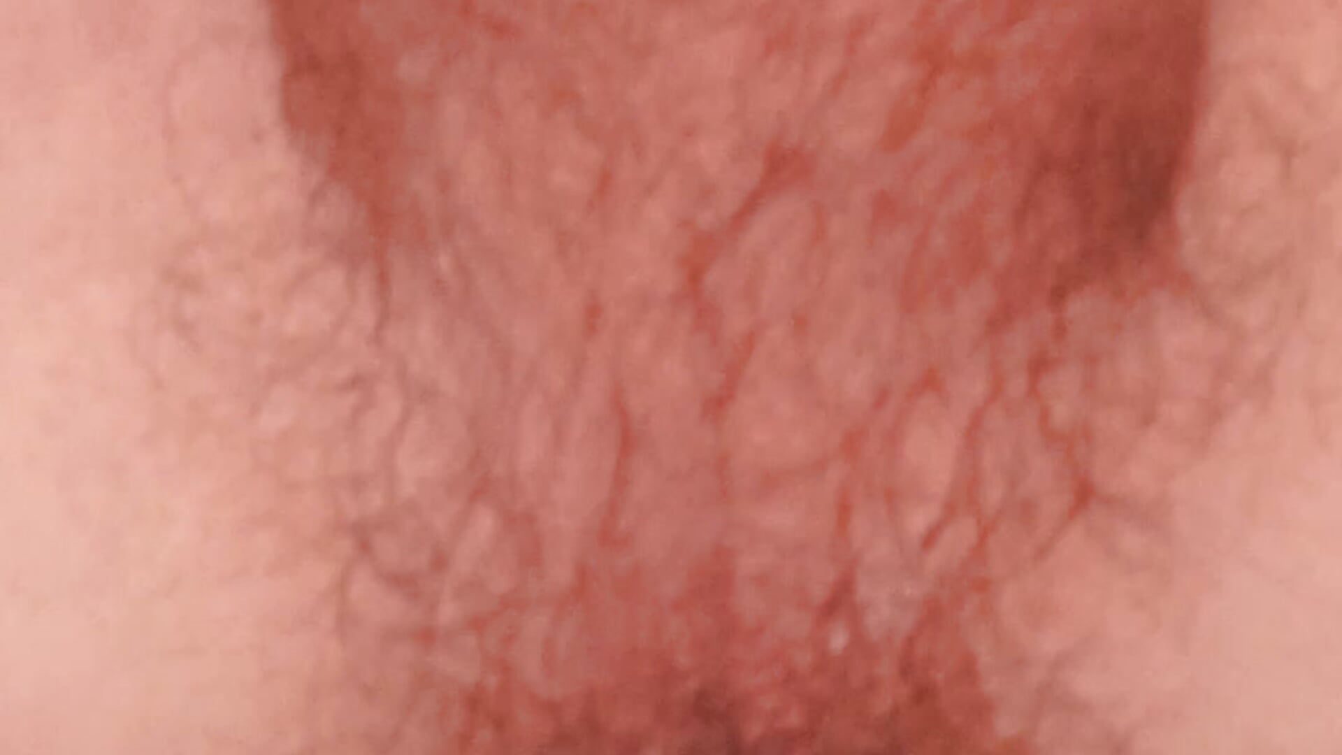 Playing with a cork Игра с пробкой — filmik Avtodig, modela(-lki) na kamerkach