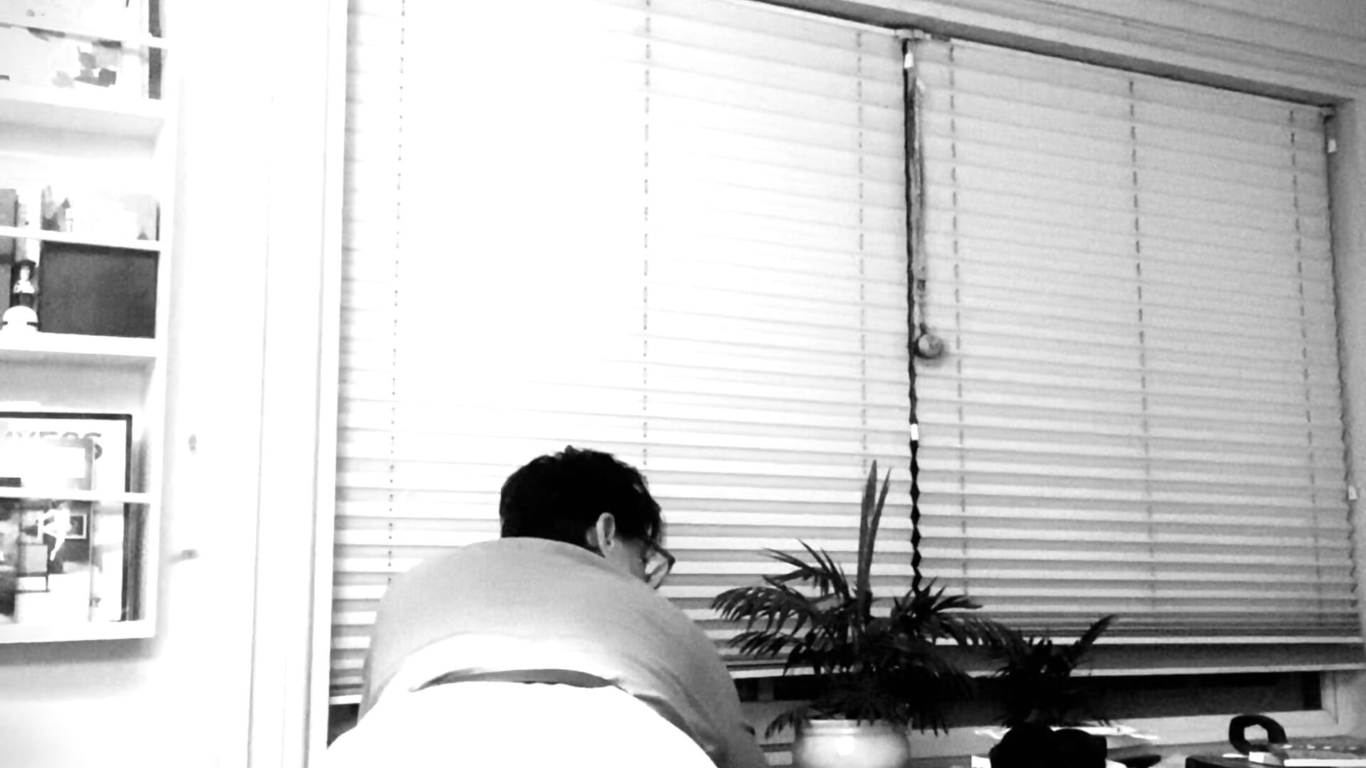 F2445FBA-D8C5-4CFE-82E7-DABC332B9574_2_100_a - democratic 캠 모델의 동영상