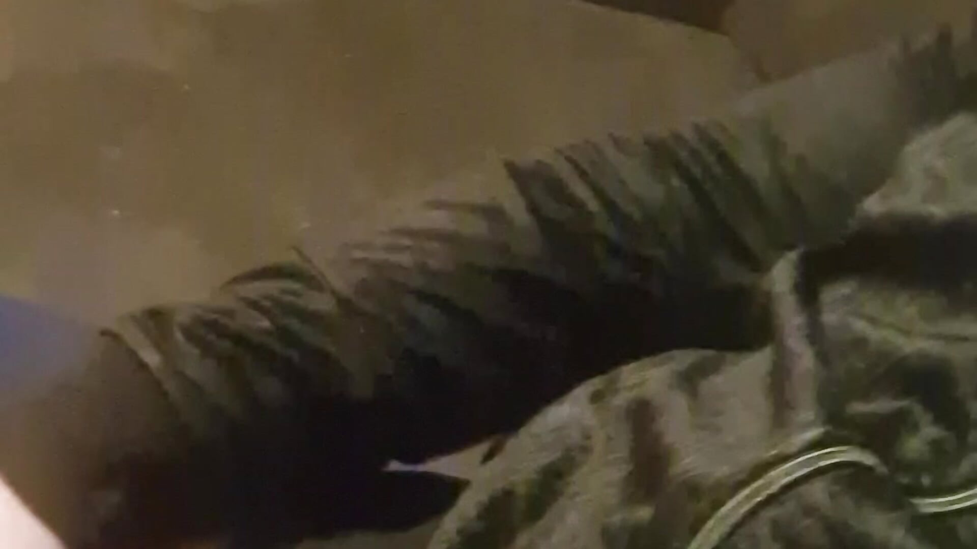 20251031_220439 - video by svenni2525 cam model